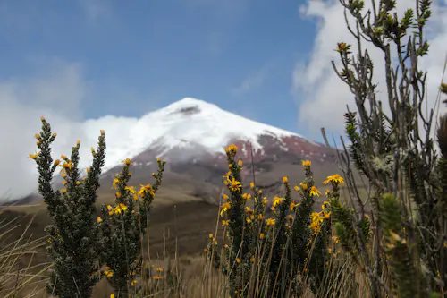 Antisana, Cotopaxi y “Condor Trek”, viaje redondo desde Quito, Ecuador (14 días)