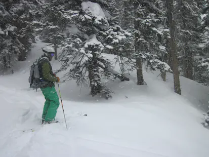 Backcountry skiing with a guide in Stowe, VT (Full day)
