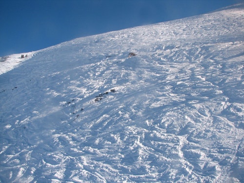 1+ jour de ski freeride dans Les Deux Alpes