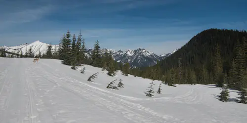 1-day Intro to backcountry skiing in Snoqualmie Pass, near Seattle
