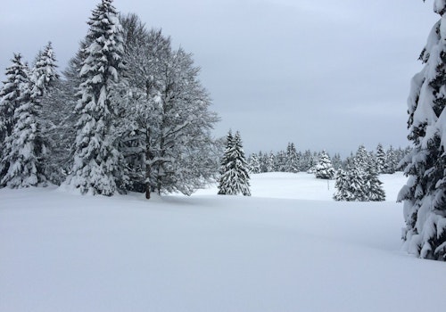 Snowshoeing from Le Manon in the Haut-Jura, France (4 days)