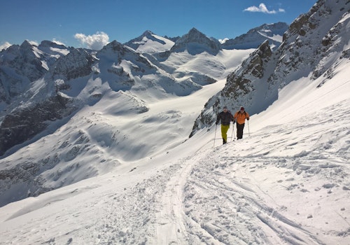 1+ day Ski touring on Pisgana and Pisganino glaciers (Mount Adamello)
