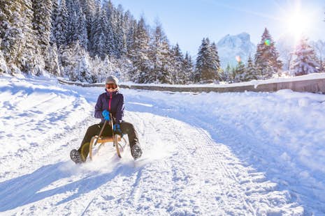 Wintertime Hiking and Sledding for All Ages near Bled, Slovenia