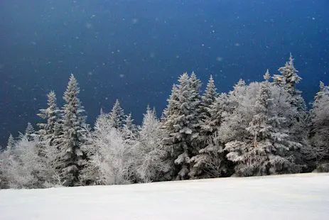 Half-Day Guided Backcountry Skiing in Stowe, VT