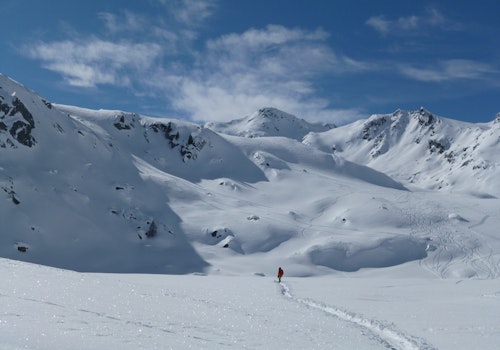 1+ day Freeride skiing in Gressoney (Monte Rosa)