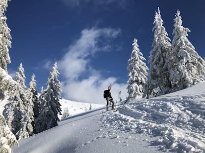 Ski mountaineering course in the Giant Mountains, Czech Republic (3 days)