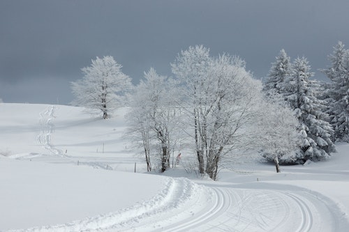 Nordic activities in the Jura Mountains: XC skiing, snowshoeing, dog sledding, biathlon