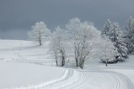 Nordic activities in the Jura Mountains: XC skiing, snowshoeing, dog sledding, biathlon
