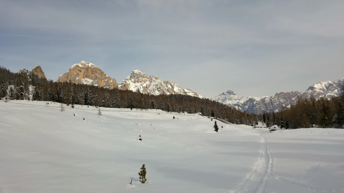Freeride skiing day in Vallon de Ra Ola on Tofane, near Cortina