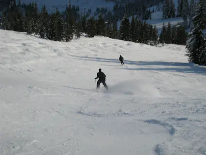 Backcountry Skiing Day in Washington: Stevens Pass