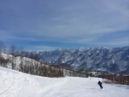 Powder skiing in Japan: 10 days in Nagano, Hakuba
