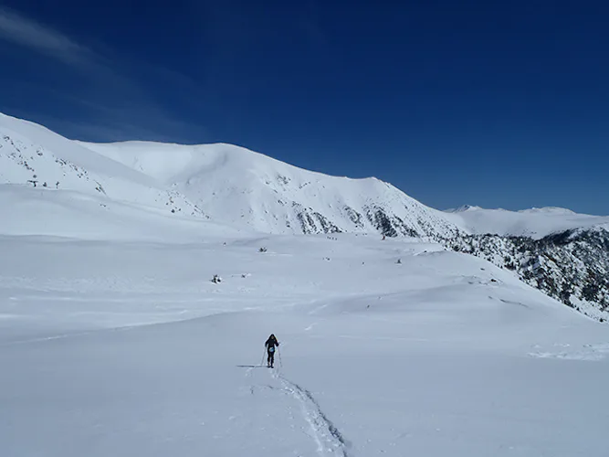 Half-day Snowshoeing to Rocs Blancs in Catalonia