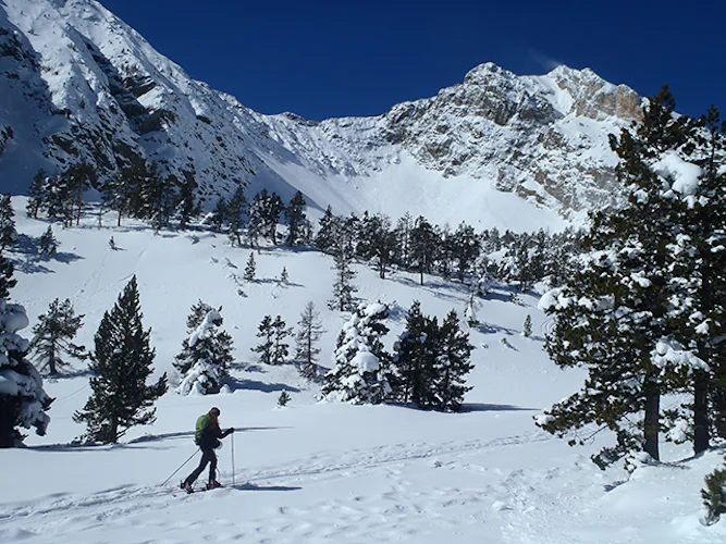 Half-day Snowshoeing to Rocs Blancs in Catalonia