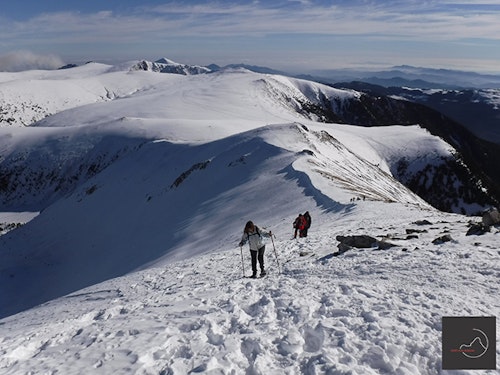 Half-day Snowshoeing to Pic de la Dona (2702m) in Catalonia