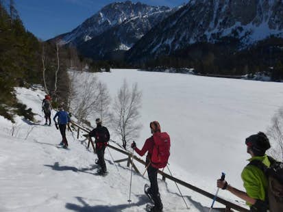 Snowshoeing day in the Pyrenees, around Vallter 2000 Ski Resort