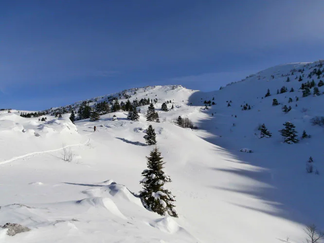 Snowshoeing on the Vercors Massif, near Grenoble (4 days) 3