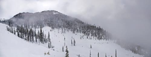 Heliskiing day from Kicking Horse Mountain Resort in Golden, BC