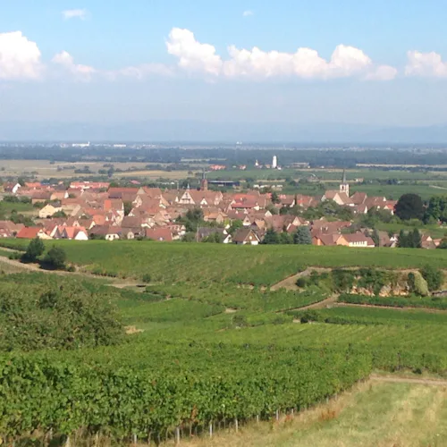 Hiking around Alsace Castles, geology and gastronomy (4 days) 2