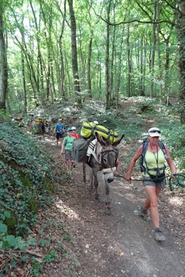 Hiking weekend with donkeys in Famenne, Belgium (2 days)