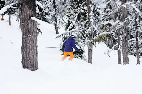 Backcountry skiing in the Rocky Mountain National Park, 1-day Introductory course