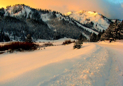 Squaw Valley backcountry skiing day for beginners in Lake Tahoe