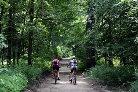 Half-day Mountain Biking in the Sonian Forest (Forêt de Soignes) in Brussels