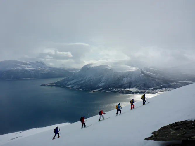 Ski touring in Narvik, Norway (3 days)