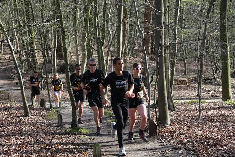 Half-day Guided trail running in the Sonian Forest (Forêt de Soignes) in Brussels