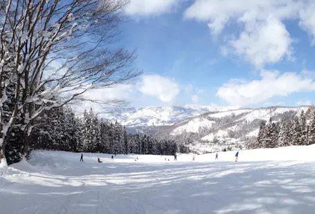 Half-day Skiing in Hakuba with FWQ skier Ryuya Yoshida