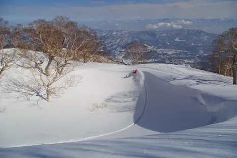 Ski in Myoko for a day with FWQ skier Ryuya Yoshida