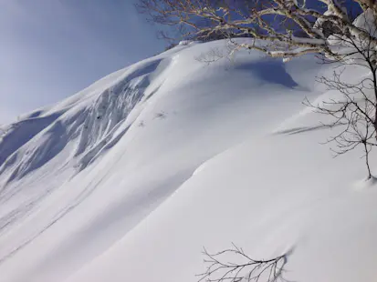 Skiing in Hakuba with the top male FWT skier in Japan (half-day)