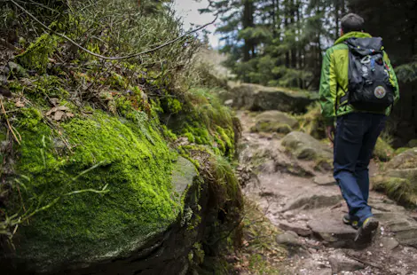 Mont Donon, Half-day hike in the Vosges