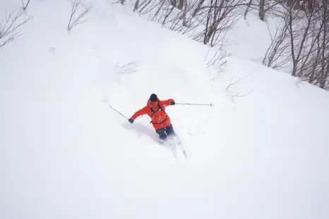 Ski in Gifu for a day with FWQ skier Yuki Kuwabara