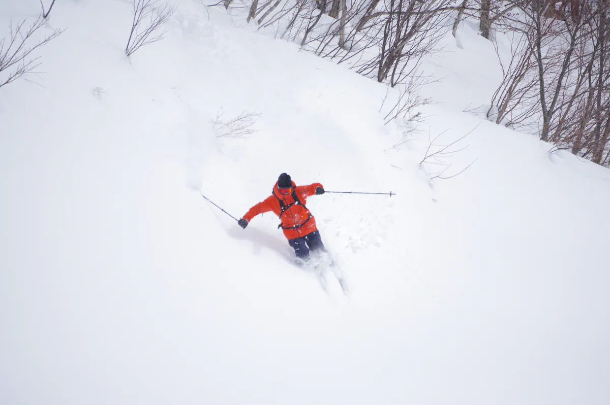 Ski in Gifu for a day with FWQ skier Yuki Kuwabara | undefined