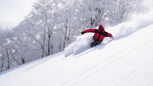 Half-day Skiing at Maiko Snow Resort in Niigata with FWQ skier Shinji Saiki