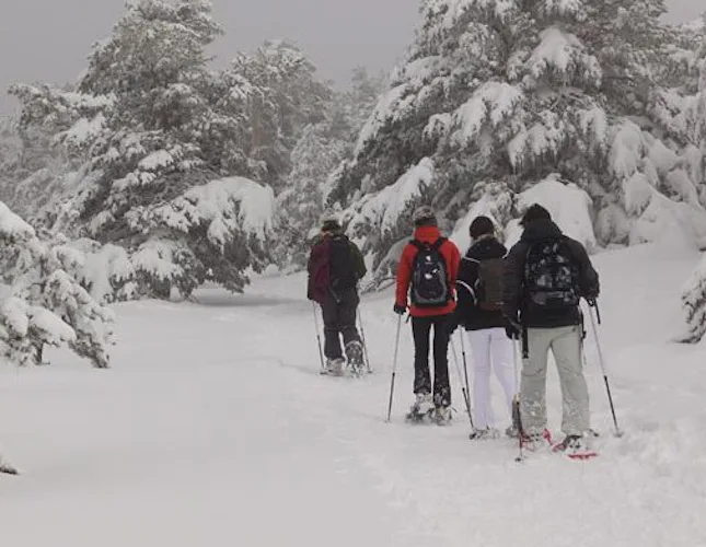 1+ day Snowshoeing in the Guadarrama National Park
