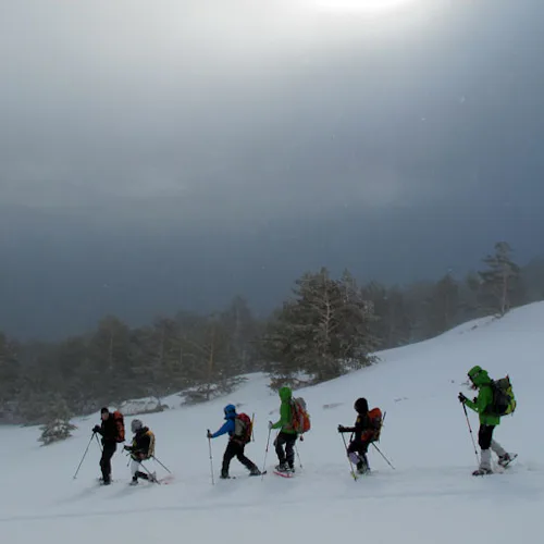 1+ day Snowshoeing in the Guadarrama National Park 4