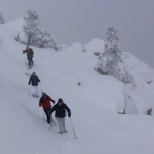 1+ day Snowshoeing in the Guadarrama National Park 5