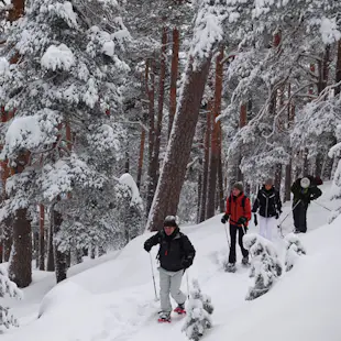 1+ day Snowshoeing in the Guadarrama National Park