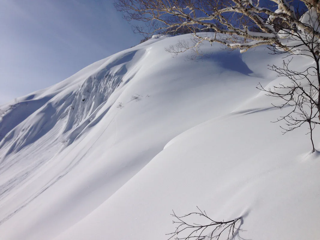 Skiing in Hokkaido with the top male FWT skier in Japan (half-day) | Japan