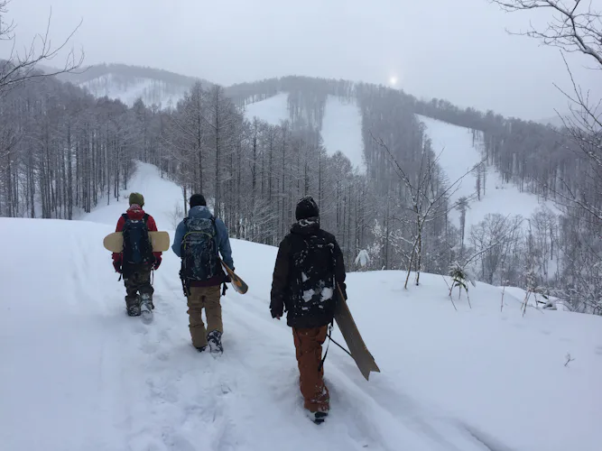 Skiing in Hokkaido with the top male FWT skier in Japan (half-day)