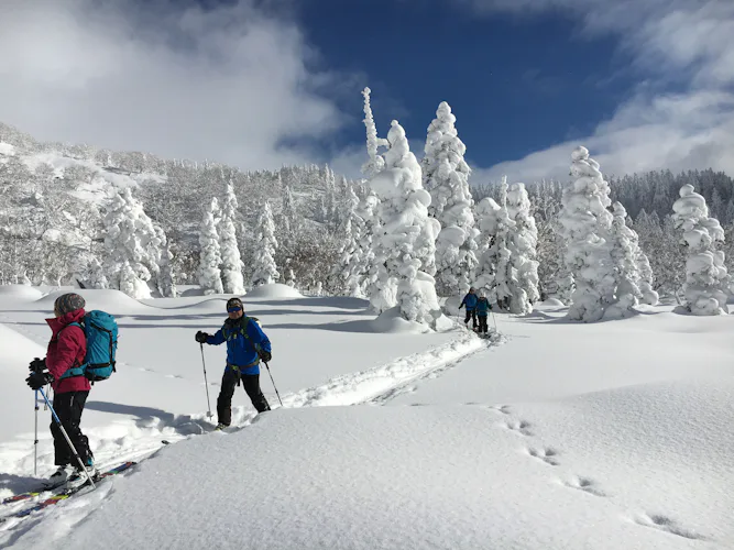 Daisetsuzan Guided Backcountry skiing