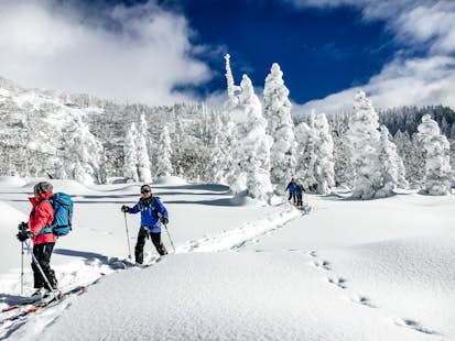 1+ day Backcountry Skiing in the Daisetsuzan National Park, Hokkaido
