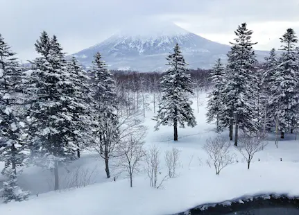 Half-day Riding in Niseko with FWQ snowboarder Yumiko Ohta