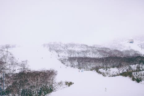 1+ day Ski Touring in Niseko Ski Resort in Hokkaido
