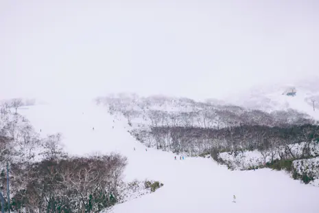 1+ día de Esquí de travesía en Niseko Ski Resort en Hokkaido