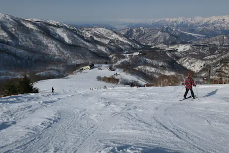 1+ Día de Esquí de Travesía en el Resort de Esquí Kiroro en Hokkaido