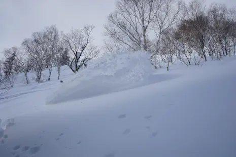 Ride in Myoko for a day with FWQ snowboarder Masaki Mitsuhisa