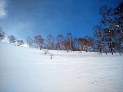 1+ day Ski Touring at the Sapporo Teine Ski Resort (Hokkaido)