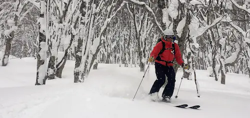 Esquí de travesía y en nieve polvo en Japón, 10 días en Nagano y Niigata